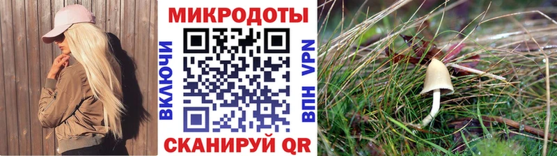 Галлюциногенные грибы ЛСД как найти закладки Черногорск